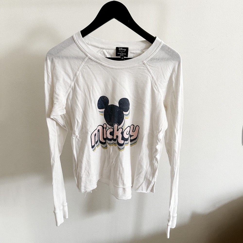 Disney by David Lerner